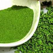 Gemahlene Moringablätter als Antioxidans