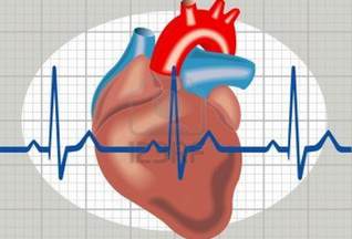 Herstolpern, Extrasystolen und Herzrythmusstörungen