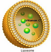 Das Liposom und darin befindliche Vitamin C Molekül